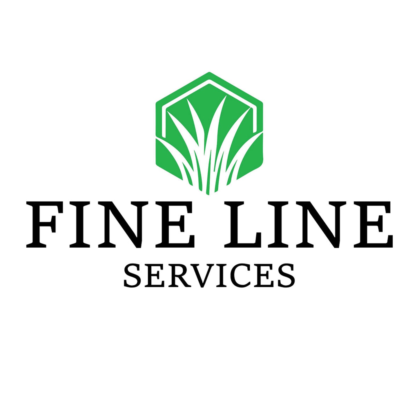Logo Creation - Basic